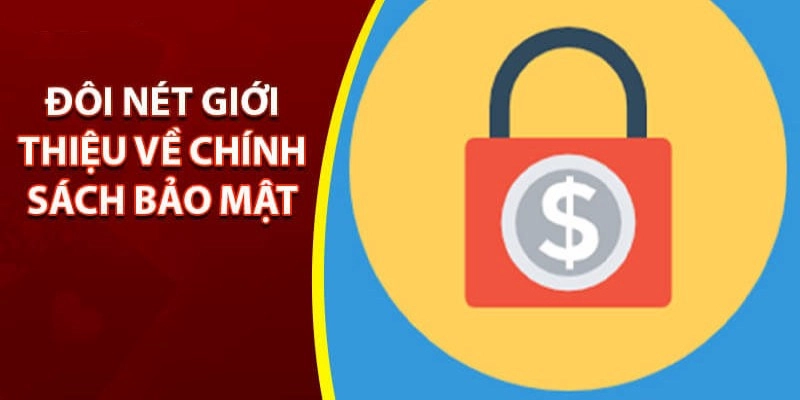 Chính sách bảo mật đảm bảo nhất 2024