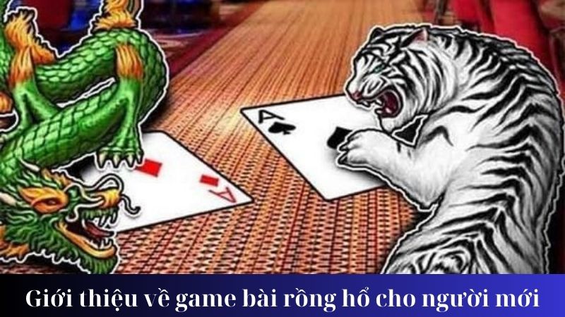 Giới thiệu về game bài rồng hổ