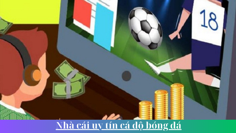 Nha cai uy tin ca do bong da