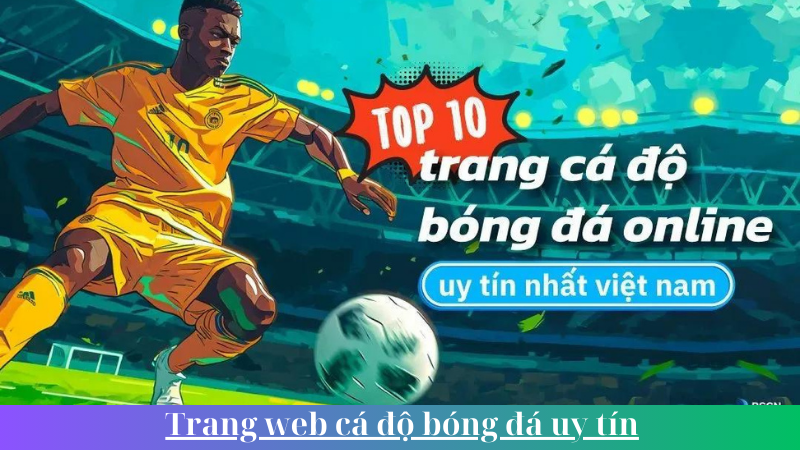 Trang web ca do bong da uy tin